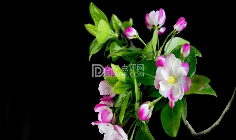 春季养生要注意养胃的这几个禁忌-北京大兴亦庄养生按摩-1-养生资讯-SPA点评网