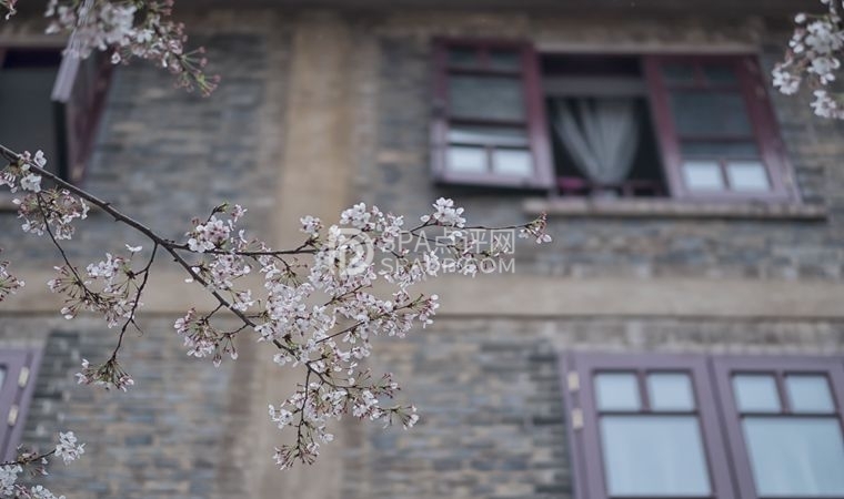 北京哪里SPA好？北京哪里酒店的SPA好？-1-养生资讯-SPA点评网