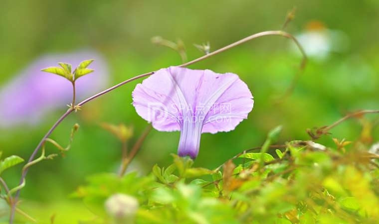 揭秘大保健养生：北京是否存在大保健这样的调理项目-1-养生资讯-SPA点评网