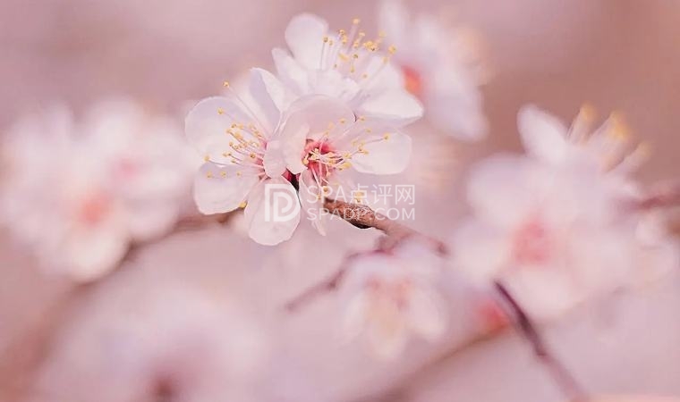 北京养生要注意什么，具体怎么做北京养生减压Spa会所点评网