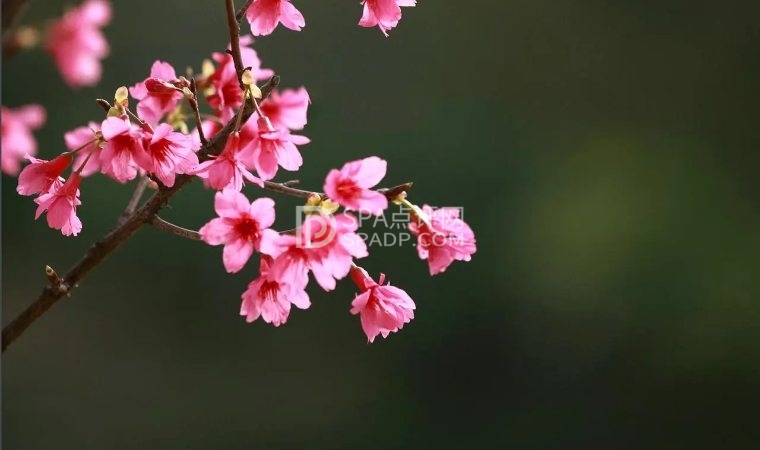 北京养生要注意什么，具体怎么做1北京养生减压Spa会所点评网