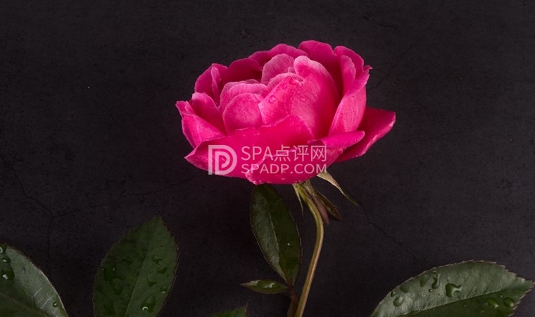 北京SPA点评网上的商家有哪些是靠谱的1北京养生减压Spa会所点评网