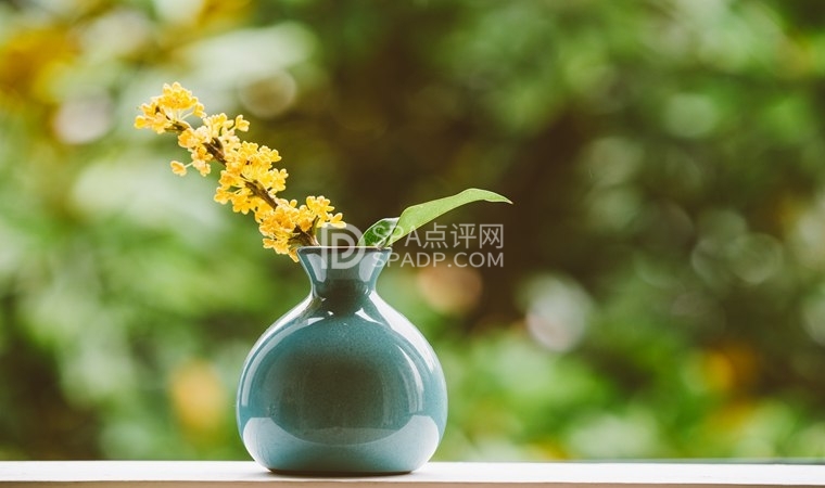 北京东城养生会所的项目有哪些特点2北京养生减压Spa会所点评网