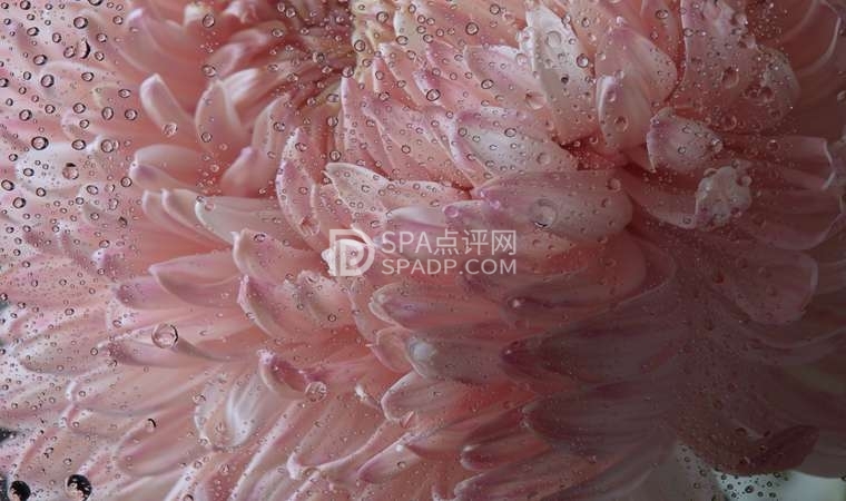 北京天通苑个人按摩：1v1 solo的天花板-1-养生资讯-SPA点评网