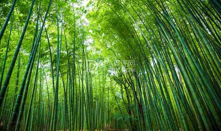 北京休闲会所的这些玩法让你不再迷茫-2-养生资讯-SPA点评网