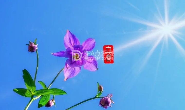 北京养生会所揭秘：立春养生需知，迎接春暖花开1北京养生减压Spa会所点评网