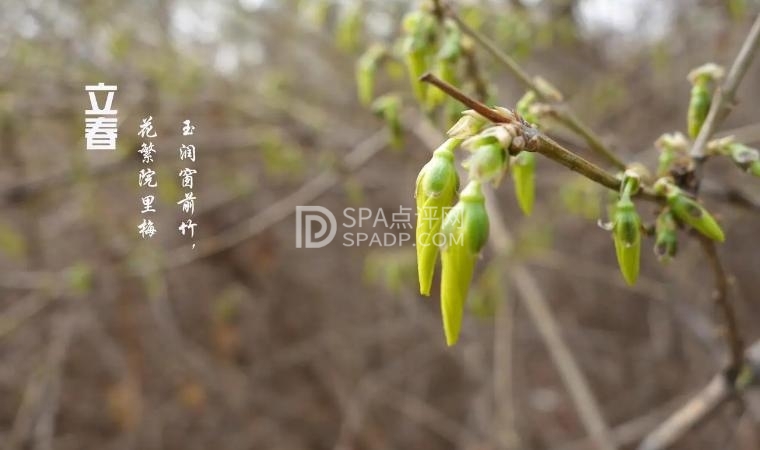 北京养生会所揭秘：立春养生需知，迎接春暖花开2北京养生减压Spa会所点评网