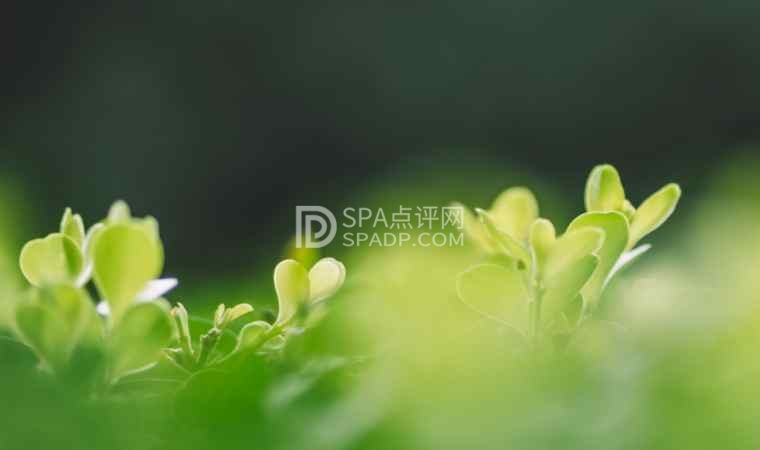 北京养生网：春季护理常识，呵护身心健康-2-养生资讯-SPA点评网