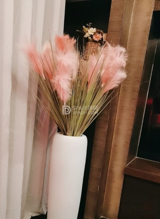 北京养生推荐来这里，享受京城最舒服的放松—清莲养生.SPA.足疗-2-打卡分享-SPA点评网