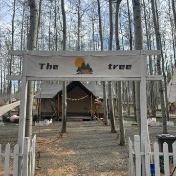 The tree营地