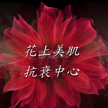 花上美肌抗衰中心--美容/SPA-SPA点评网