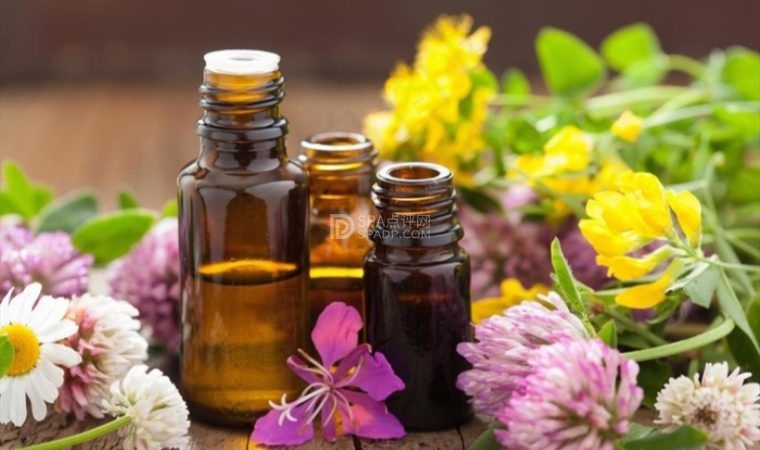 北京男士SPA养生新风向:压力时代下的身体自我修复术-2-养生资讯-SPA点评网 北京男士SPA养生新风向:压力时代下的身体自我修复术-2-养生资讯-SPA点评网