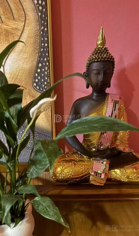 泰密觅-2-按摩/SPA-SPA点评网