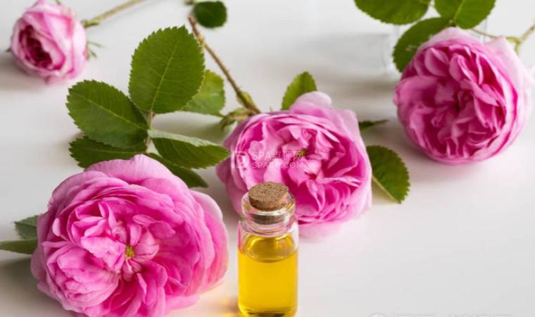 北京个人养生体验是一种自我校准,更是一种新的生活方式-3-养生资讯-SPA点评网 北京个人养生体验是一种自我校准,更是一种新的生活方式-3-养生资讯-SPA点评网