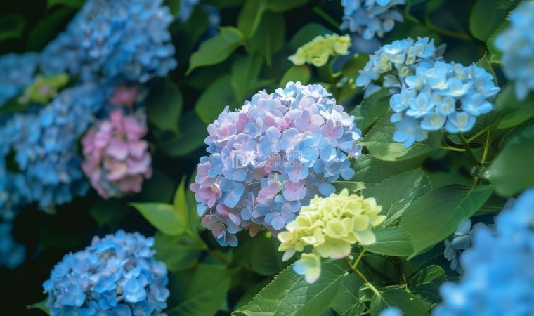 北京个人养生体验网:春季花粉过敏不用慌,科学预防解锁春日舒适感-2-养生资讯-SPA点评网 北京个人养生体验网:春季花粉过敏不用慌,科学预防解锁春日舒适感-2-养生资讯-SPA点评网