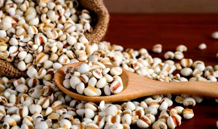 北京高端养生网分享|痰湿体质不盲目进补,家常食材轻松祛湿化痰--养生资讯-SPA点评网 北京高端养生网分享|痰湿体质不盲目进补,家常食材轻松祛湿化痰--养生资讯-SPA点评网