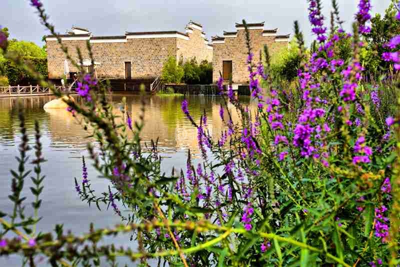 北京足疗按摩馆：腿部按摩不只是放松，更是藏在脚下的养生密码-3-养生资讯-SPA点评网