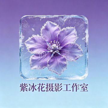 紫冰花摄影工作室--自拍/换装体验-SPA点评网