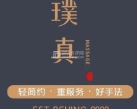 璞真轻疗经络