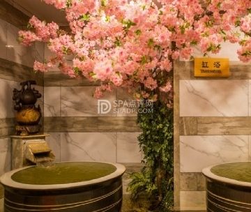 汤泉良子(德胜门旗舰店)
