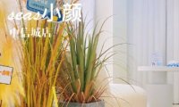 小颜·美容抗衰美骨美肌中心（中信城店）