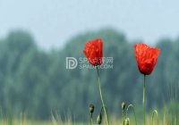 北京家庭式保健养生馆告诉你用足浴盆按摩要注意什么