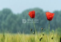 北京洗浴按摩中心都有什么样的服务