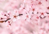 北京养生会所有什么样的服务内容