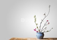 北京家庭式养生馆安全吗？应该注意什么