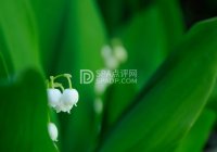 北京朝阳区东坝附近足部按摩店有什么特色