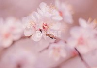 北京养生要注意什么，具体怎么做