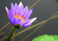 北京洗浴中心：让您身心舒畅的全方位水疗场所