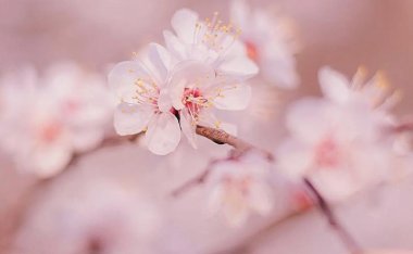 北京养生要注意什么，具体怎么做