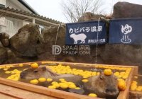 寻找上门spa，方便、快捷地享受现代养生spa