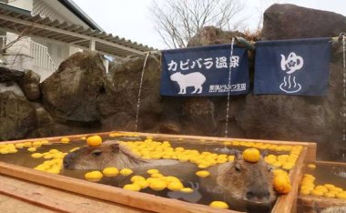寻找上门spa，方便、快捷地享受现代养生spa