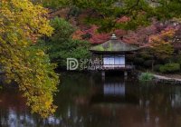 北京个人家庭养生电话查询及预约方式，享受私密养生服务