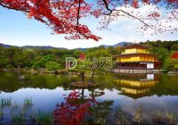 北京大屯路家庭式SPA，舒适家庭按摩体验