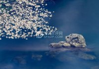 探索北京按摩中的三温暖，独特的休闲方式