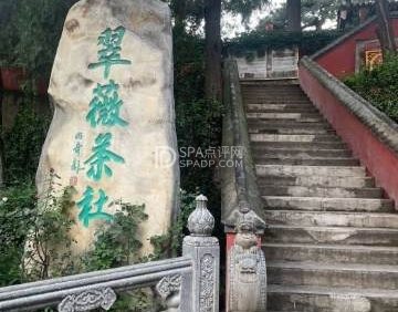 翠薇茶社