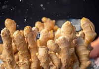 北京养生网分享冬季养生食物：滋补身体，抵御寒冷