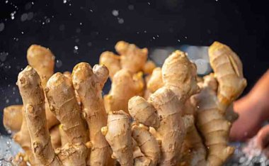 北京养生网分享冬季养生食物：滋补身体，抵御寒冷