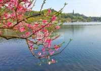 北京养生网分享的春季养生要点：拥抱春天，呵护健康