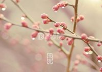 北京养生会所揭秘：立春养生需知，迎接春暖花开