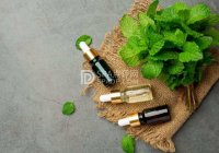 北京个人家庭式预约体验：电话联系方式指南