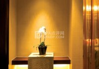 足下生泉：北京个性派思足工作室，放松新境界