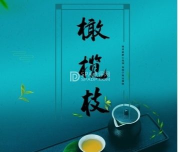 橄榄枝SPA养生