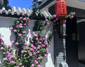 何记私房菜
