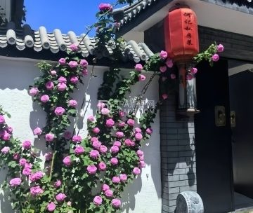 何记私房菜
