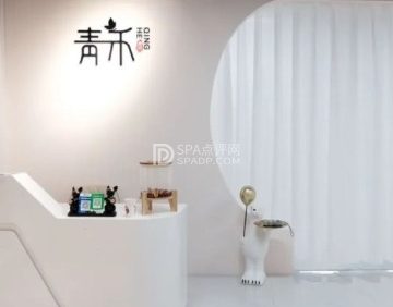 青禾艺术舞蹈工作室