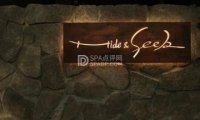 Hide&Seek